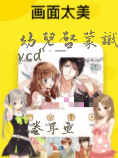 幼儿启蒙识字4vcd