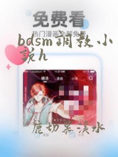 bdsm调教小说h