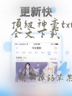 顶级神豪txt全文下载