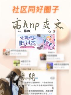 高hnp爽文