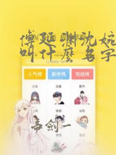 傅延渊沈婉小说叫什么名字