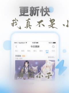 我真不是 小说