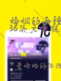 婚姻的两种猜想36集免费观看