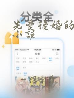 先爱后婚的古言小说