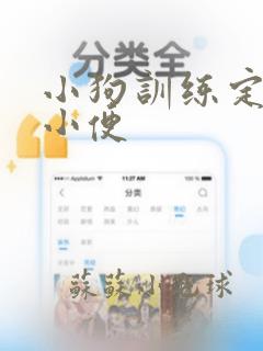 小狗训练定点大小便