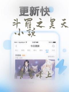 斗罗之昊天神话 小说