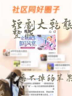 短剧大乾憨婿完整版