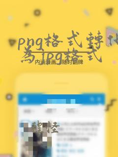 png格式转化为jpg格式