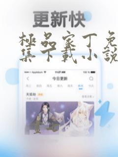 极品家丁免费全集下载小说