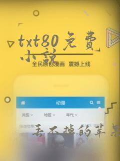 txt80免费小说