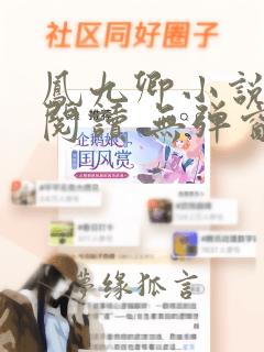 凤九卿小说免费阅读 无弹窗