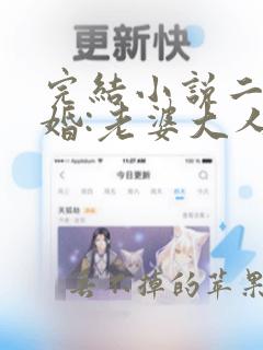 完结小说二次宠婚:老婆大人别想逃