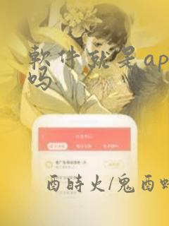 软件就是app吗