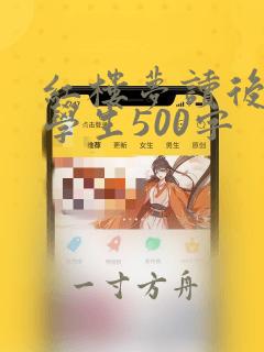 红楼梦读后感小学生500字