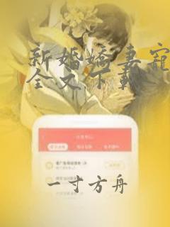 新婚娇妻宠上瘾全文下载