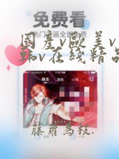 国产v欧美v日韩v在线精品