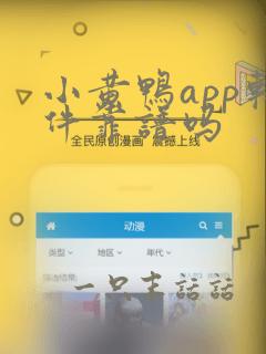 小黄鸭app软件靠谱吗