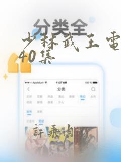 少林武王电视剧40集