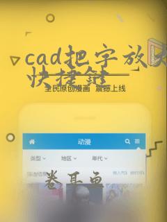 cad把字放大快捷键