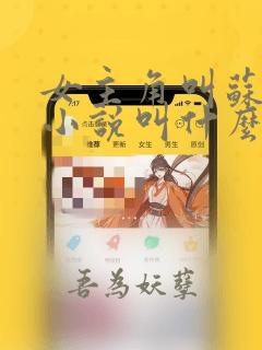 女主角叫苏暖的小说叫什么名字