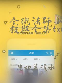 全职法师小说精校版全集txt