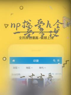 np总受h全肉一受多攻