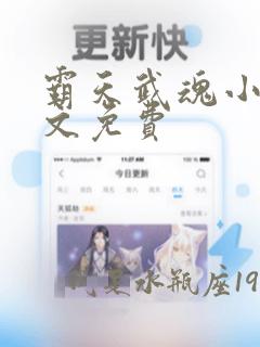 霸天武魂小说全文免费