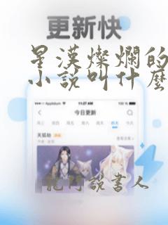 星汉灿烂的原著小说叫什么