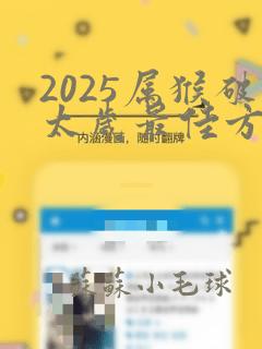 2025属猴破太岁最佳方法