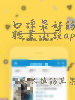 口碑最好的免费听书小说app