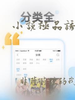 小说极品诱惑