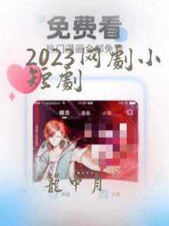 2023网剧小短剧