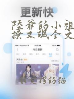 陆爷的小祖宗又撩又飒全文阅读