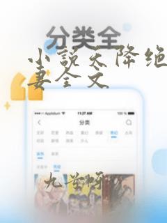 小说天降绝美娇妻全文