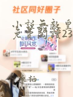 小说无敌皇太子免费阅读23