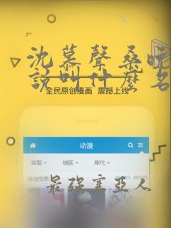 沈慕声桑晚晚小说叫什么名字