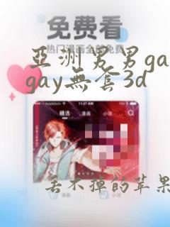 亚洲男男gaygay无套3d