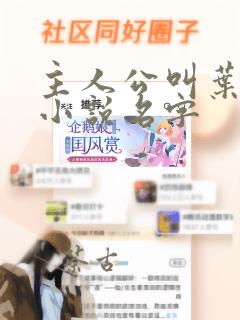 主人公叫叶帆的小说名字