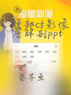 腹部ct影像断层解剖ppt