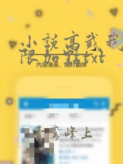 小说高武我能无限加点txt