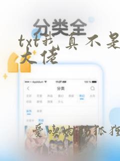 txt我真不是大佬