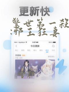 惊世第一杀手妃:邪王狂妻