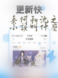 秦柯和沈之意的小说叫什么名字