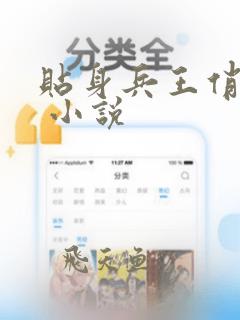 贴身兵王俏总裁 小说