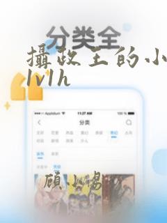 摄政王的小王妃1v1h