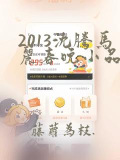 2013沈腾马丽春晚小品