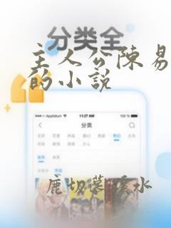 主人公陈易洛雁的小说