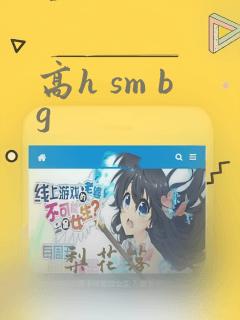 高h sm bg