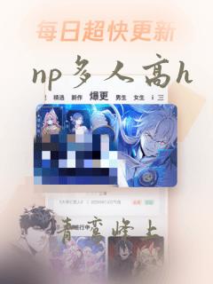 np多人高h