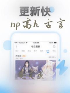 np高h 古言